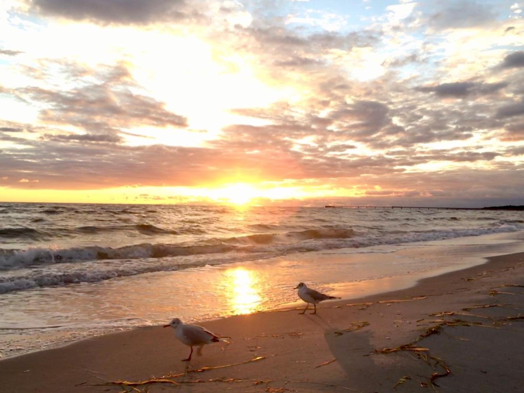 Strandveranda Zingst Ngoại thất bức ảnh